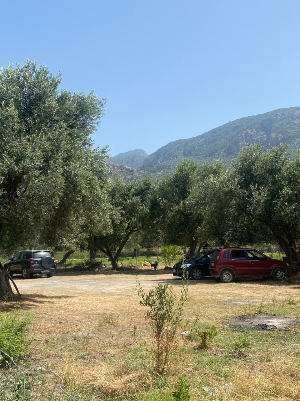 Irini'S Guesthouse كيبارو المظهر الخارجي الصورة