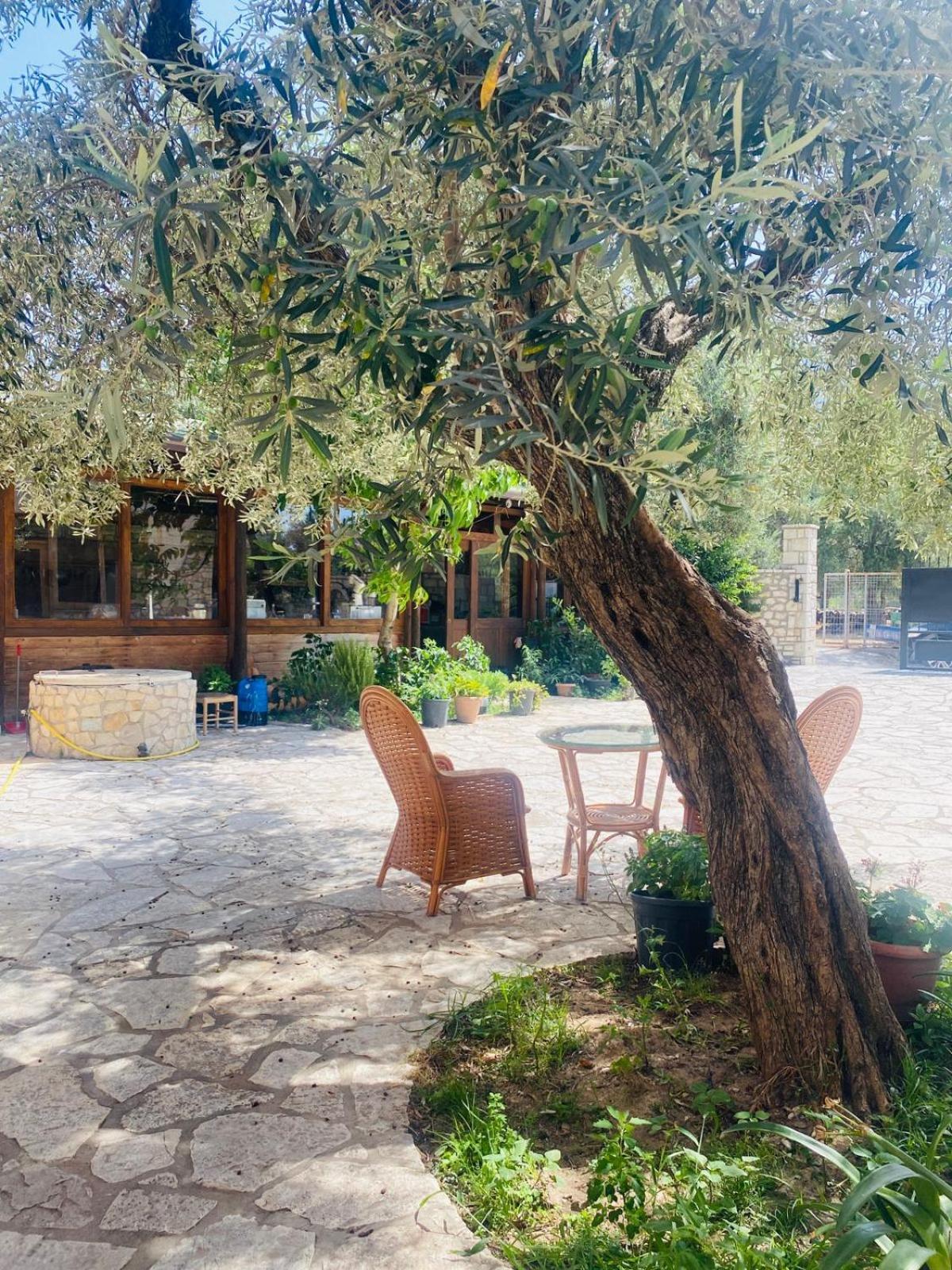 Irini'S Guesthouse كيبارو المظهر الخارجي الصورة