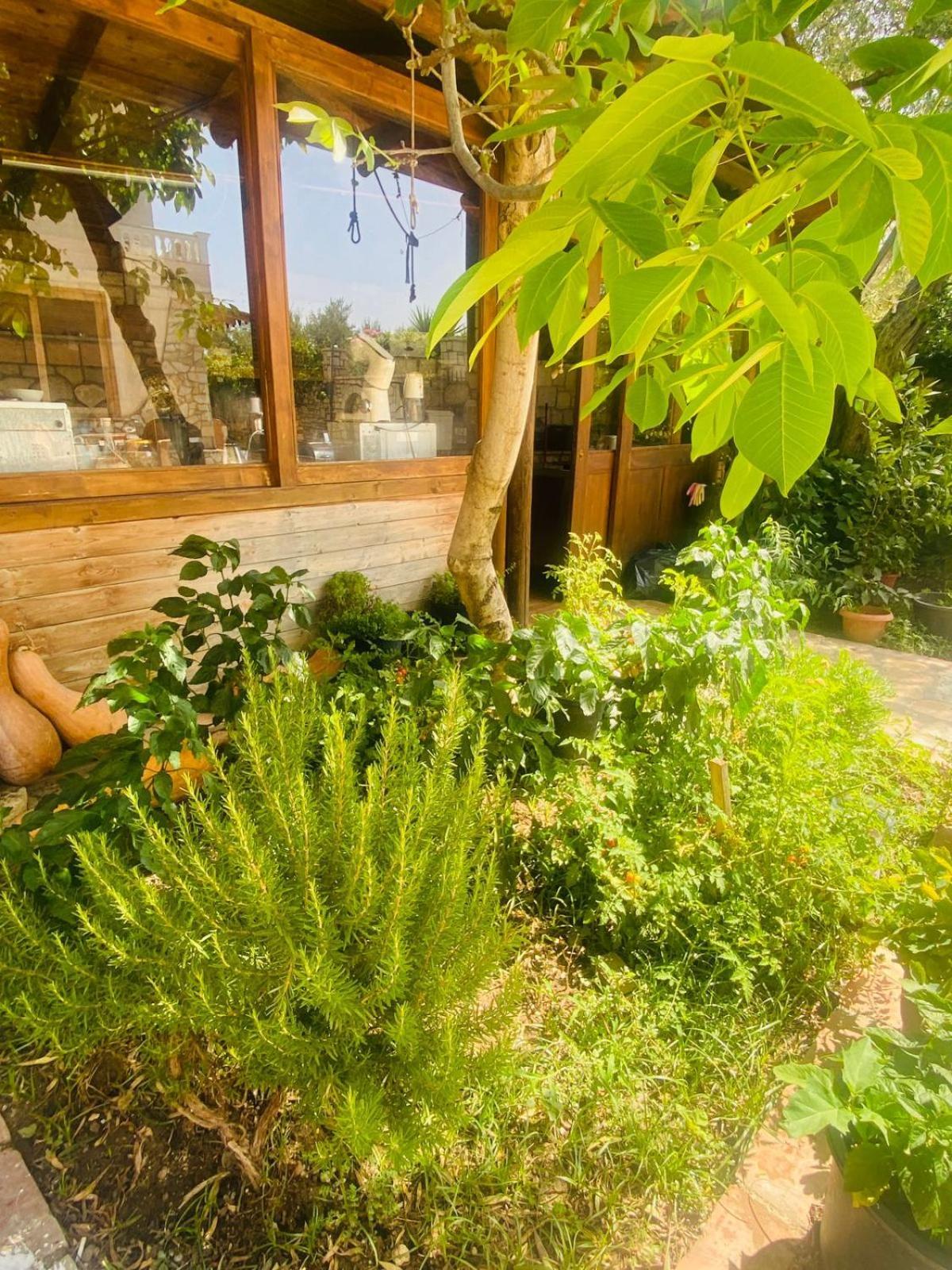Irini'S Guesthouse كيبارو المظهر الخارجي الصورة